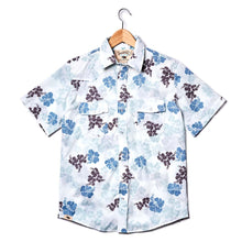PAREU BLUE BROWN