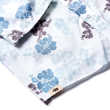PAREU BLUE BROWN