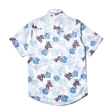 PAREU BLUE BROWN
